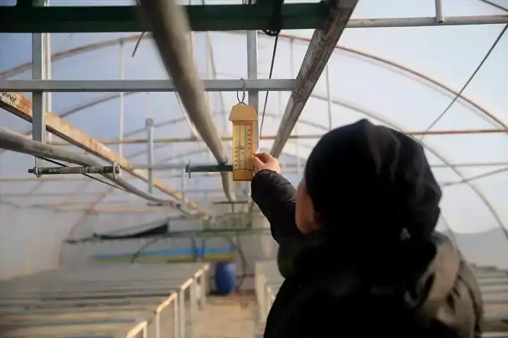 Edirne'de Üreticiler Donla Mücadele Veriyor
