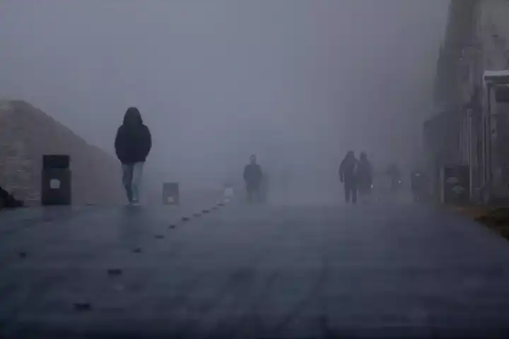 Yoğun Sis, Edirne'yi SARDI! Görüş Mesafesi Kritik Seviyede